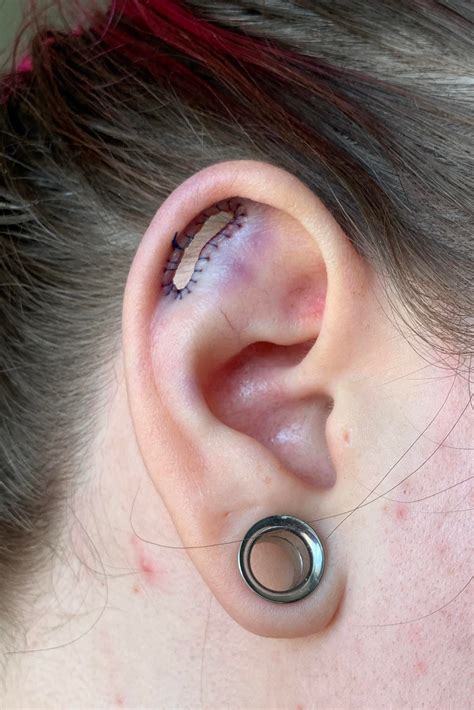 Conch is 6g with a gorilla glass colour front labret. . What is a coin slot piercing